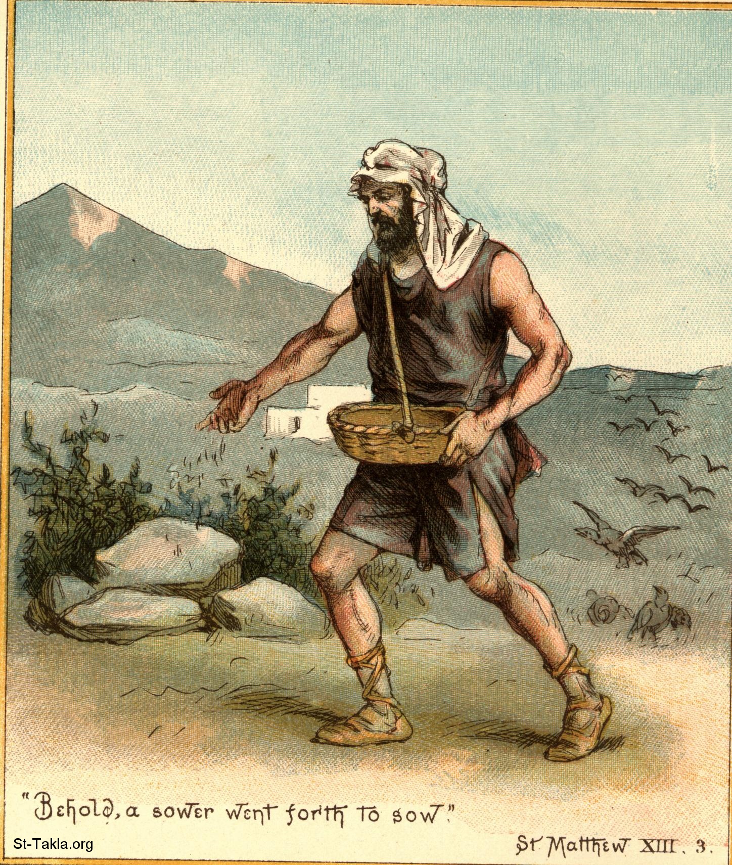 A Sower