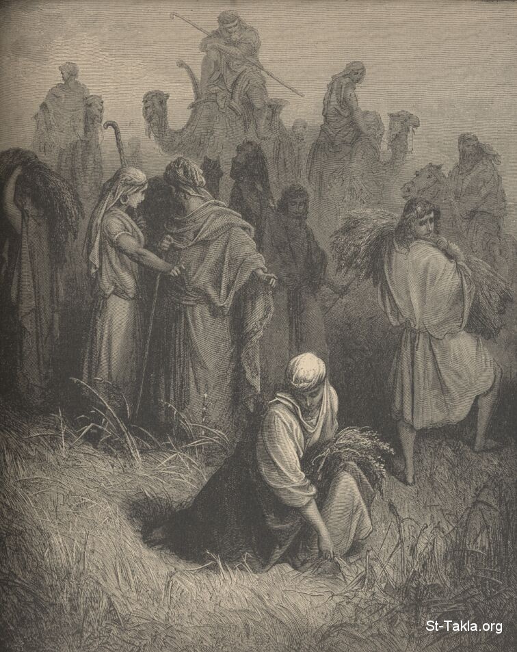 St-Takla.org Image:  Gustave Dore's people collecting the crops with Ruth and Boaz     :     :   ɡ     
