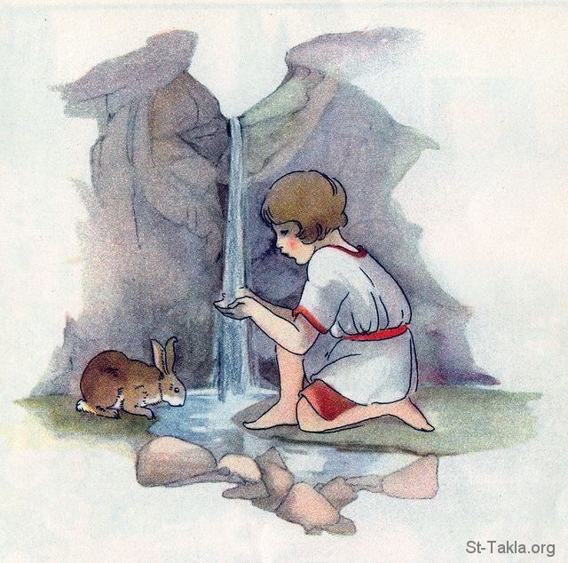 St-Takla.org Image: Girl and a rabbit getting a drink from a spring (Being thankful for water): Psalm 100:4     :        (  ) -  100: 4