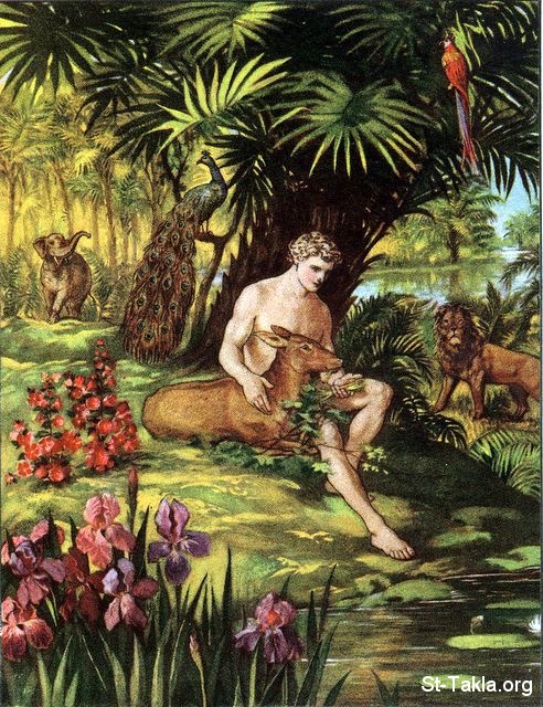 St-Takla.org Image: Adam in the garden of Eden     :    