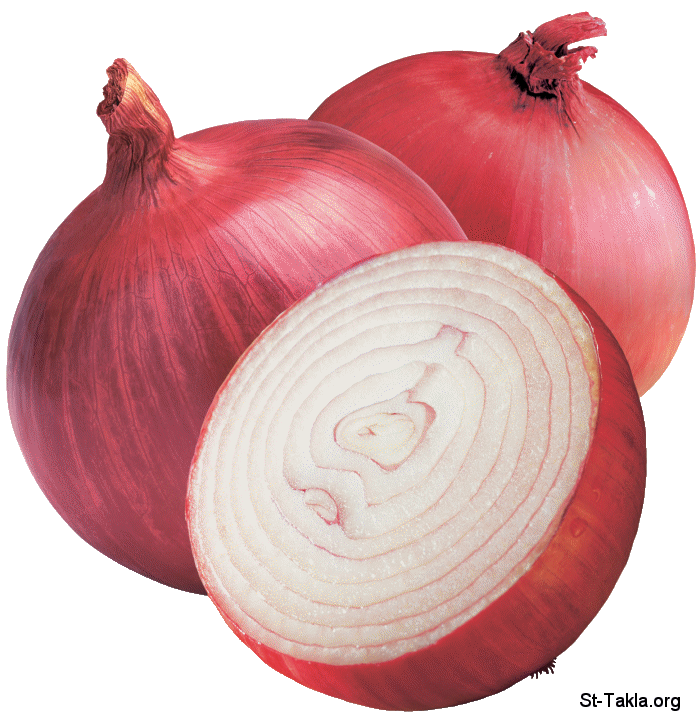 ماسك البصل لمنع تساقط الشعر Www-St-Takla-org--Onions-01