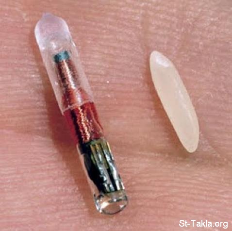 St-Takla.org Image: RFID chip next to a grain of rice     :   (  )   