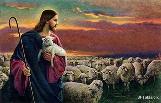 St-Takla.org Image: Jesus Christ, the Good Shepherd, with the flock in a field.     :     ͡    .