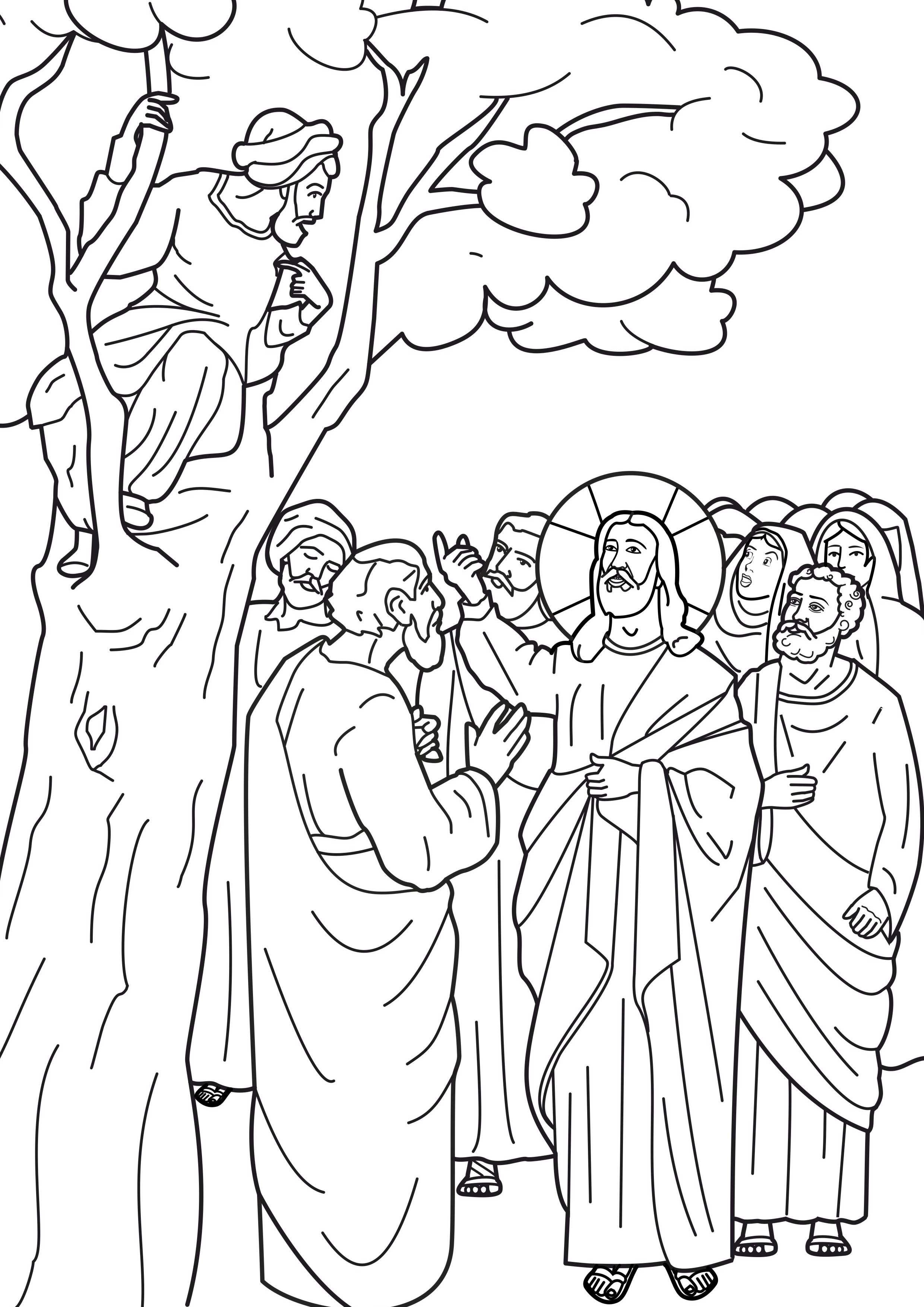 zacchaeus bible coloring pages - photo #13