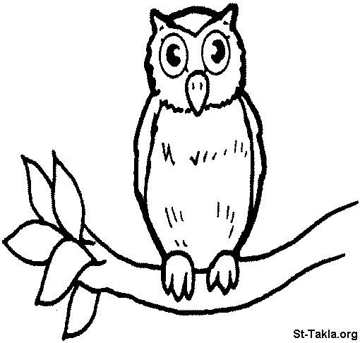 Owl Coloring Pages Preschool Owl Coloring Pages Preschool