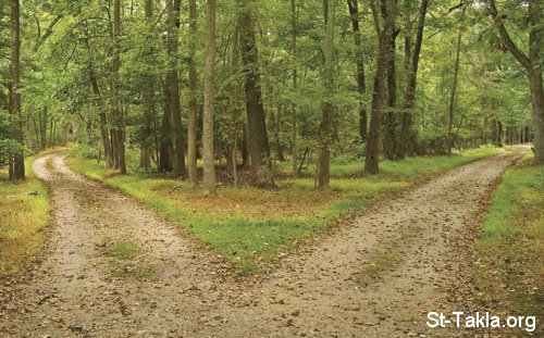 St-Takla.org Image: Two roads, choose one!     :     