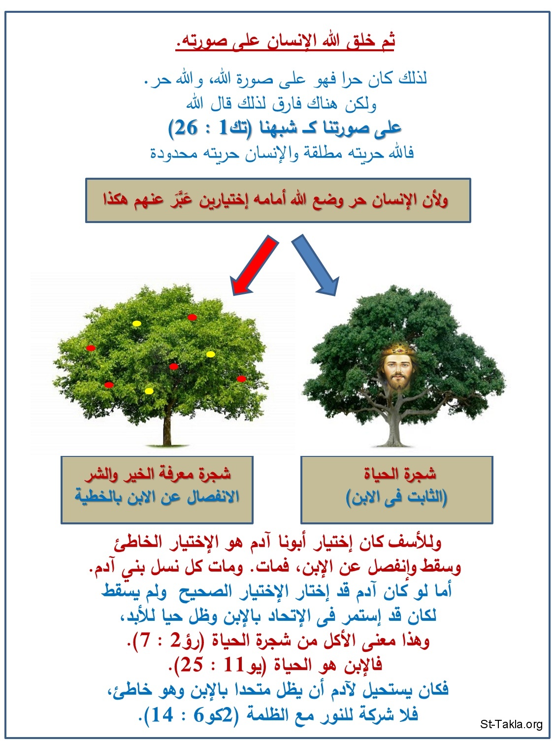 St-Takla.org Image: Man's creation, and tree choices: graph     :     -  
