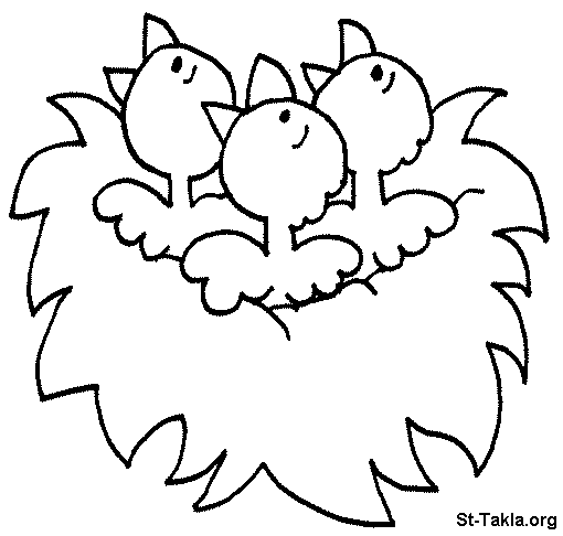 baby birds coloring pages - photo #2