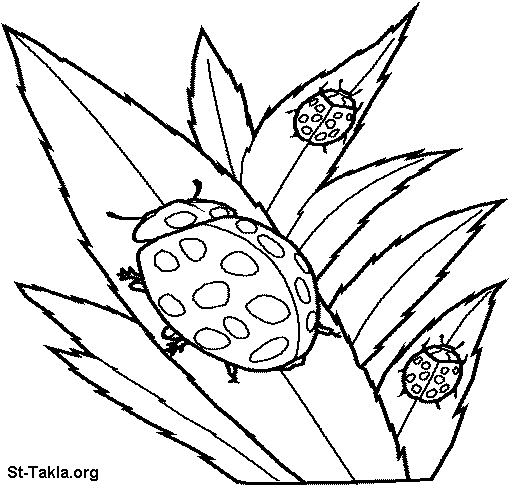 kenyan flag colouring page. states flag coloring pages