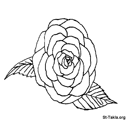 jack and rose coloring pages - photo #22