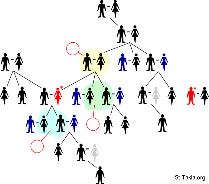 St-Takla.org           Image: Family, genealogy : ɡ ɡ  