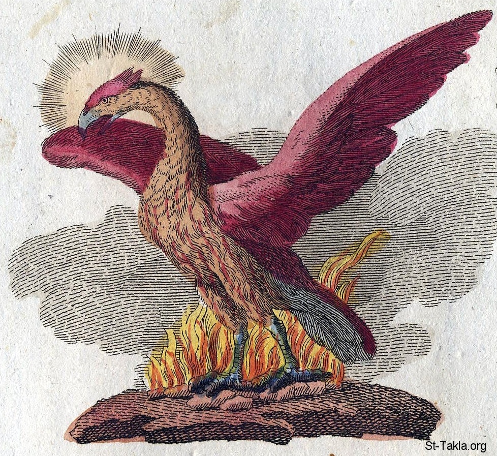 St-Takla.org Image: Phoenix depicted in the book of mythological creatures by F.J. Bertuch (1747-1822)     :   (ӡ )           . .  (1747-1822)
