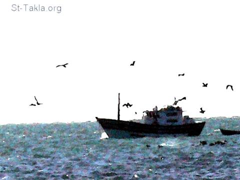 St-Takla.org Image: A fishing boat, and birds flying around it صورة في موقع الأنبا تكلا: مركب صيد، وطيور تحوم حوله