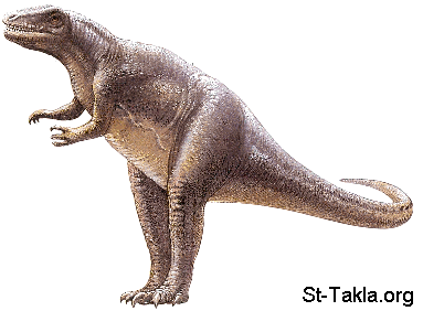 St-Takla.org Image: Megalosaurus Buckland     :  