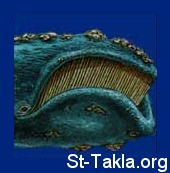 St-Takla.org Image: Mysticete whale     :    