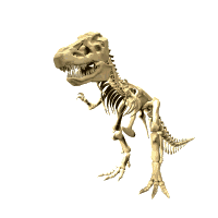 St-Takla.org Image: Dinosaur animated skeleton     :    