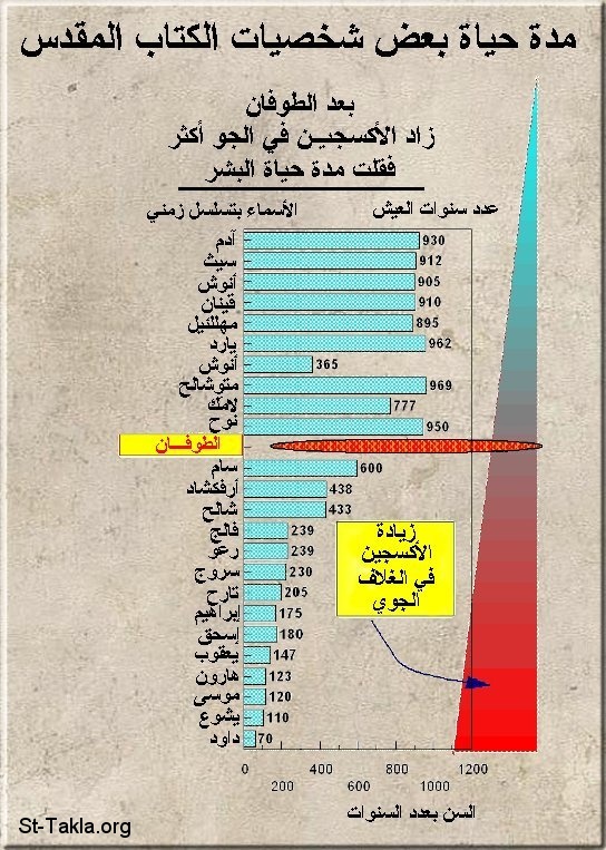 St-Takla.org Image: Bible life span before and after the deluge     :             