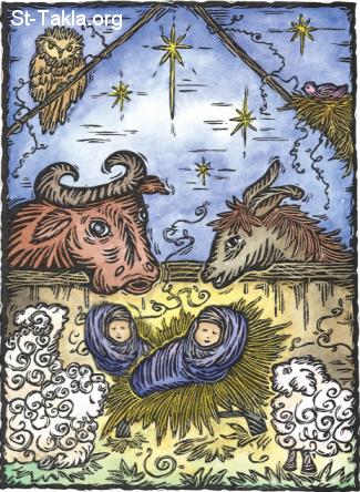 St-Takla.org Image: Two babies in a manger     :   !