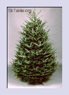 Click to enlarge this image of Christmas Cliparts, Graphics and Xmas Images (www.St-Takla.org)