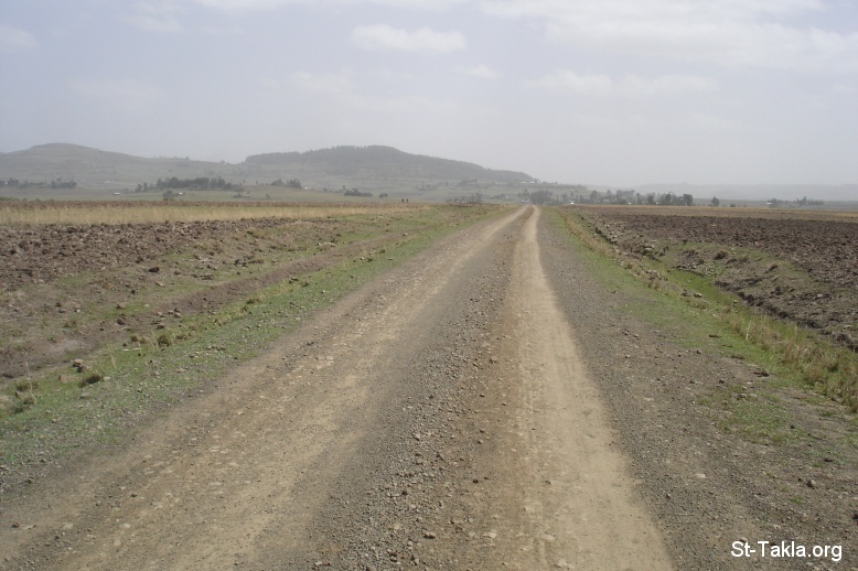 St-Takla.org Image: Walking in an endless road, a photo from St-Takla.org's journey to Ethiopia, 2008     :              ǡ 2008