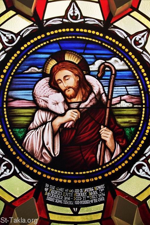 St-Takla.org Image: Jesus Christ the Good Shepherd stained glass window     :   ͡   
