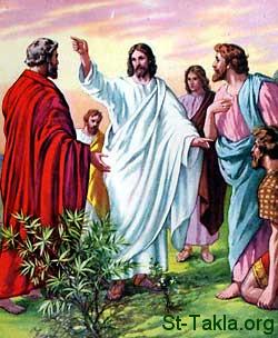 الأب متى المسكين ,وشرح لاهوتي حول "أبي أعظم مني" St Takla org Jesus with His Disciples