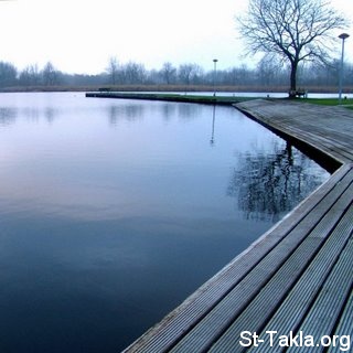 www-St-Takla-org___Calmness.jpg