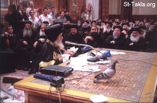 St-Takla.org          image: Appearance of a dove during Pope Shenouda's Oct. 28 Lecture, 2009 صور و فيديو ظهور حمامة في عظة البابا شنودة الثالث 28-10-2009