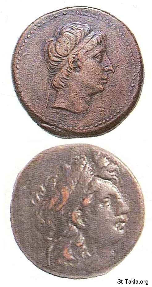 St-Takla.org           Image: Seleucus II Callinicus, 246-226, Coin :   