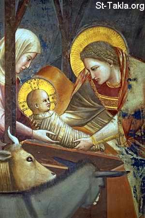 St-Takla.org Image: Nativity of Jesus Christ     :    