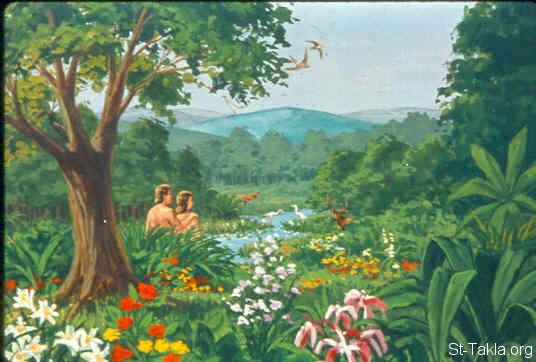 St-Takla.org Image: First marriage between Adam and Eve (Genesis 2:23) صورة في موقع الأنبا تكلا: الزواج الأول "آدم وحواء" (تكوين 2: 23)