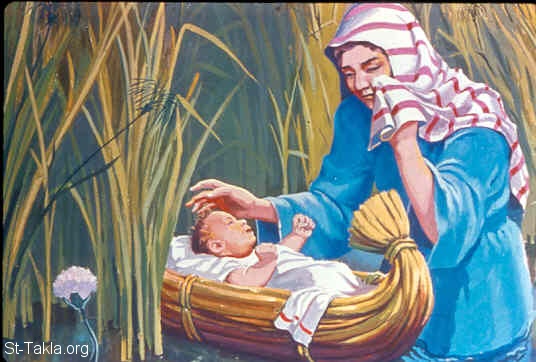 Image: Moses is put the ark of bulrushes, and is laid in the reeds by the river's bank صورة موسى يوضع في السبت وسط حشائش الماء