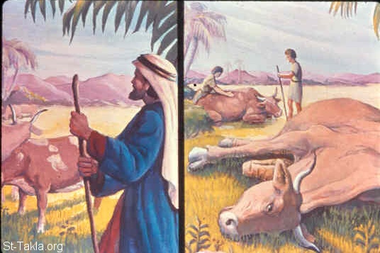 St-Takla.org Image: A heavy plague strikes the livestock (Exodus 9:1-7) صورة في موقع الأنبا تكلا: وباء ثقيلا يصيب المواشي (خروج 9: 1-7)