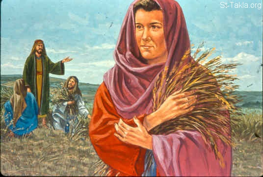 St-Takla.org Image: Boaz gives Ruth freedom inside his fields (Ruth 2:15-23) صورة في موقع الأنبا تكلا: بوعز يعطيها حرية في حقوله (راعوث 2: 15-23)