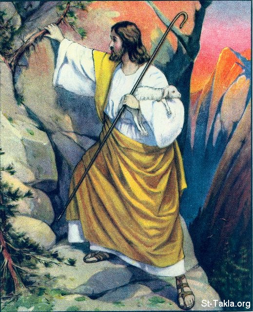 St-Takla.org Image: Jesus is the Shepherd Who Rescues the Lambs: Matthew 18:14     :       :  18: 14