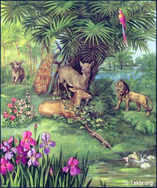 St-Takla.org Image: God created the animals - Paradise, Garden of Eden: Genesis 1:21-22, 24-25 صورة في موقع الأنبا تكلا: الله يخلق الحيوانات - جنة عدن، الجنة: تكوين 1: 21-22، 24-25