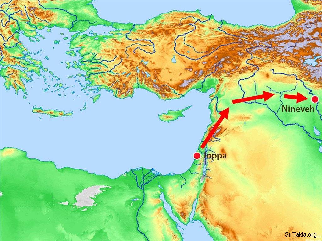 City Of Nineveh Map