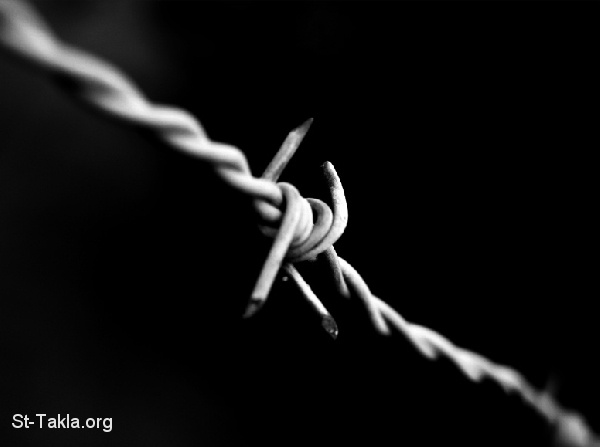 St-Takla.org Image: Razor Wire صورة في موقع الأنبا تكلا: سلك شائك