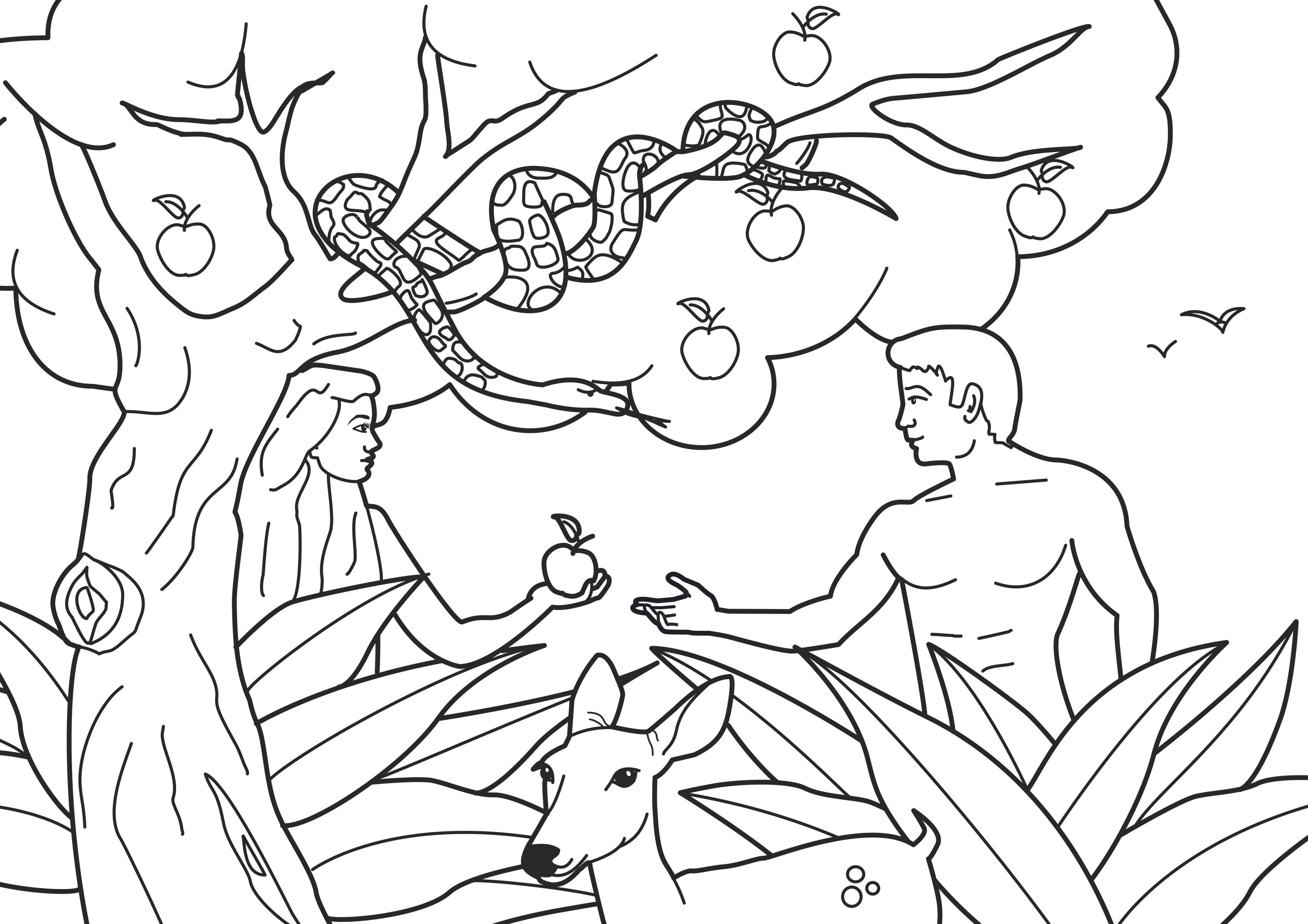 Рисунок яблоки гесперид. 12 Подвиг Геракла яблоки Гесперид. Грехопадение Адама и Евы для детей.