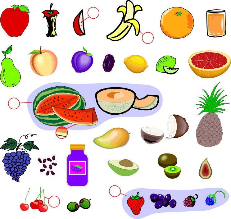 الفواكه Fruits تعلم اللغة الإنجليزية مجانا Learn English