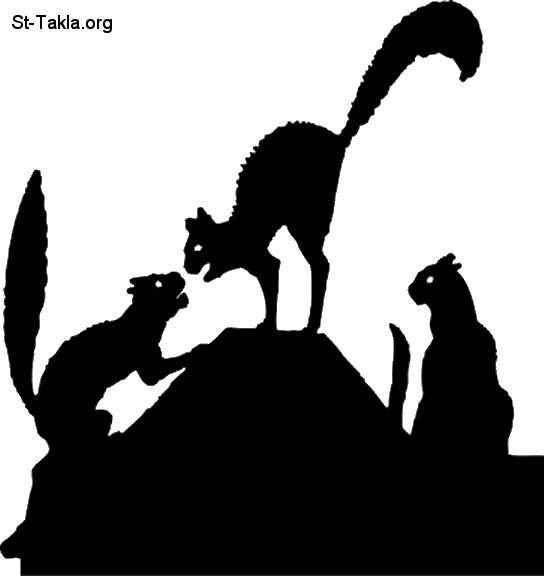 St-Takla.org         Image: Cat fight silhouette صورة: قطط تتصارع