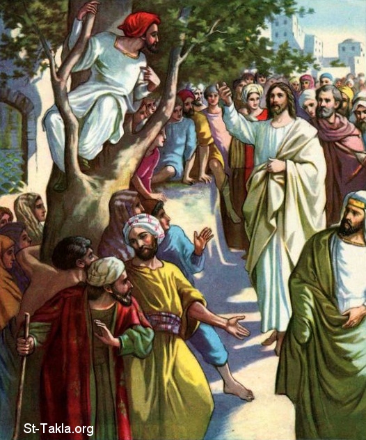 St-Takla.org         Image: Zacchaeus on a tree, and Jesus talking to Him صورة: زكا العشار والسيد المسيح يتحدث معه