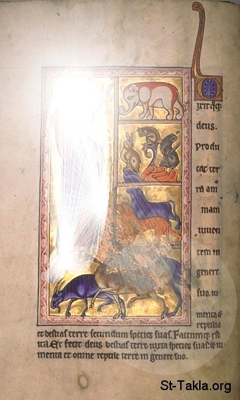 St-Takla.org Image: Creation of animals, an ancient manuscript صورة في موقع الأنبا تكلا: صورة من أحد الكتب الأثرية الأجنبية حول خلق الحيوانات 