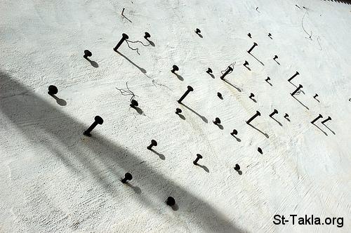 St-Takla.org Image: Nails on a wooden wall صورة في موقع الأنبا تكلا: مسامير على حائط خشبي